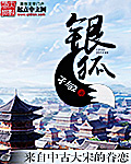 银狐封面图片