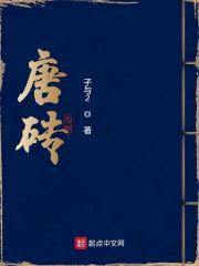 唐砖封面图片