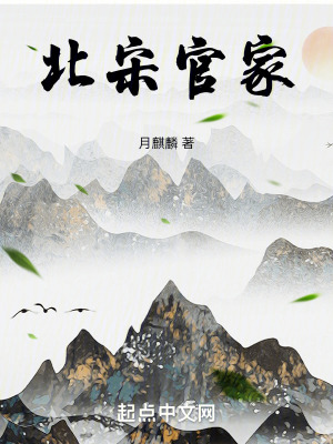 北宋官家封面图片