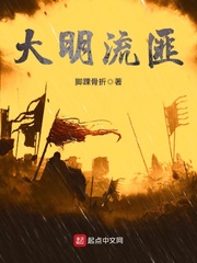 大明流匪封面图片