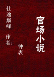 仕途巅峰封面图片