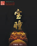 《宝瞳》封面图片
