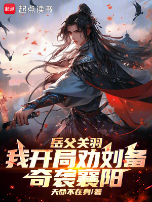 岳父关羽，我开局劝刘备奇袭襄阳封面图片