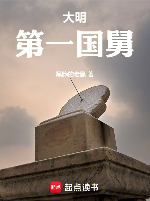 大明第一国舅封面图片