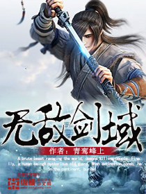 无敌剑域封面图片