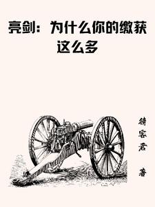 亮剑：为什么你的缴获这么多封面图片