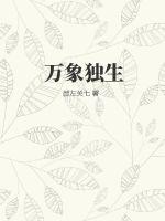 万象独生封面图片