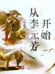 从李元芳开始封面图片
