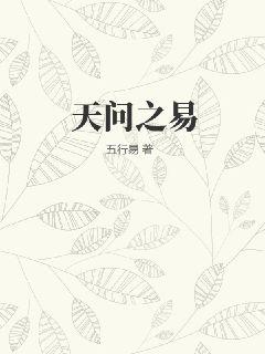 天问之易封面图片
