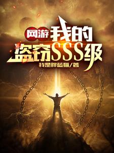 网游：我的盗窃SSS级封面图片
