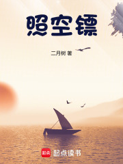 照空镖封面图片