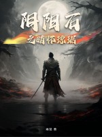 阴阳石之暗怀琼琚封面图片