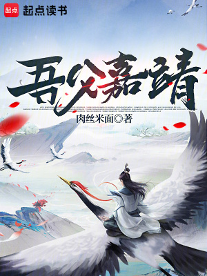 吾父嘉靖封面图片