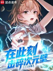 在此刻，击碎次元壁封面图片