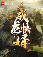 成龙快婿封面图片