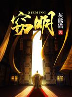 窃明封面图片