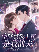 空降的禁欲上司，是我前夫封面图片