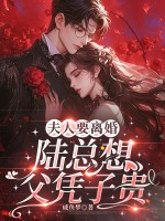 夫人要离婚，陆总想父凭子贵封面图片