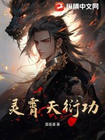 灵霄天衍功封面图片