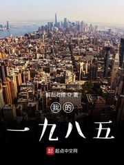 我的一九八五封面图片