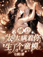 傅总，太太瞒着你生了个童模封面图片